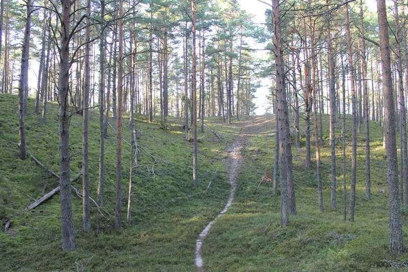 From Riga: Budget Day Trip to Kolka in Zen style! - FAQ