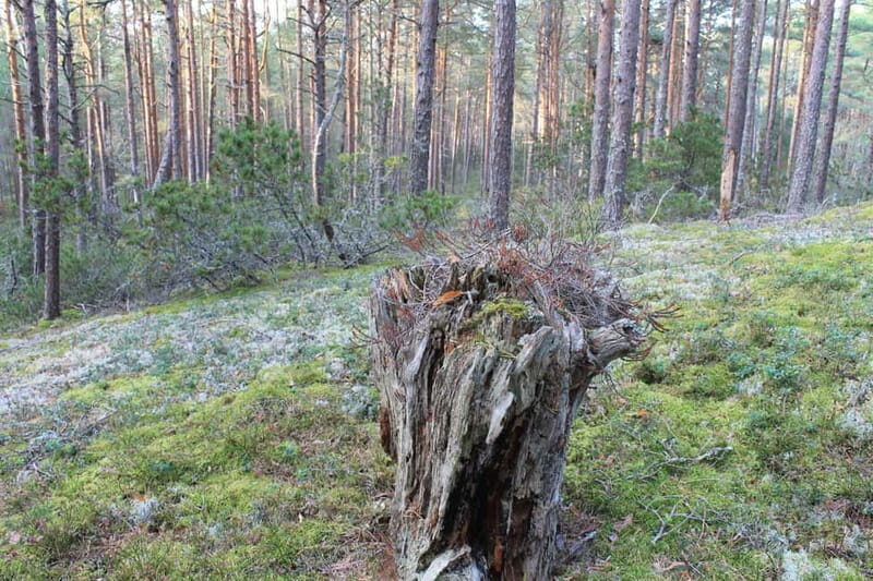 From Riga: Budget Day Trip to Kolka in Zen style! - Final Thoughts