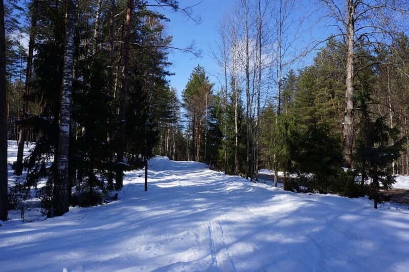 From Riga: Cross-country skiing and beating heart memorial - A Detailed Look at the Tour Experience