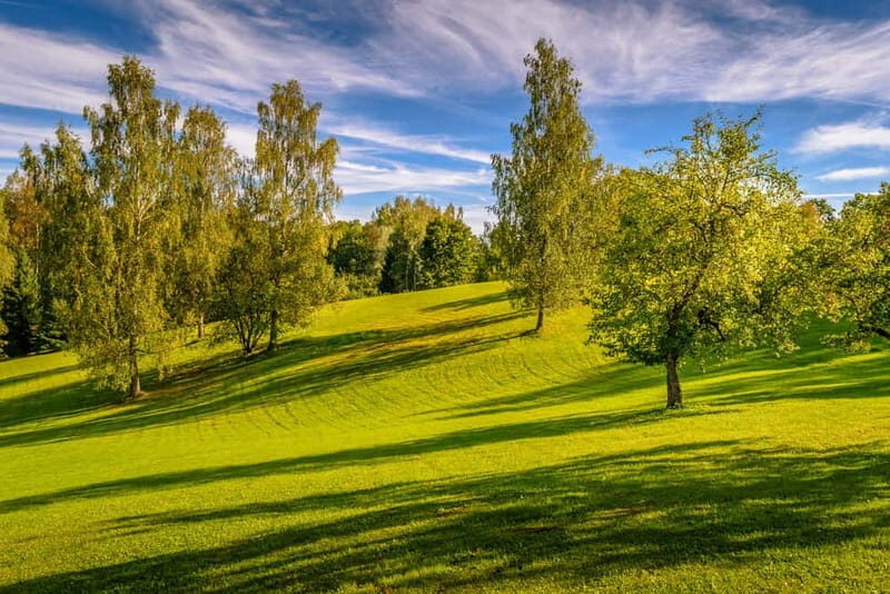 From Riga: Csis, Sigulda & Turaida Castle Tour - FAQ: Your Questions Answered