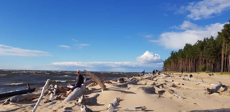 From Riga: Four Natural Ecosystems In One Hike - Key Points