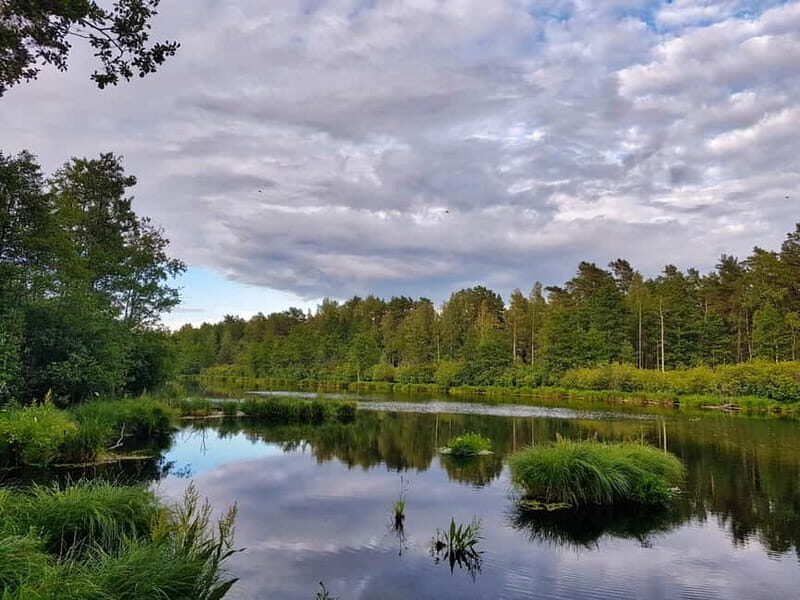 From Riga: Four Natural Ecosystems In One Hike - Final Thoughts