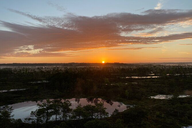 From Riga: Kemeri Bog Boardwalk and Jurmala Seaside - From Riga: Kemeri Bog Boardwalk and Jurmala Seaside – An Authentic Latvian Day Out