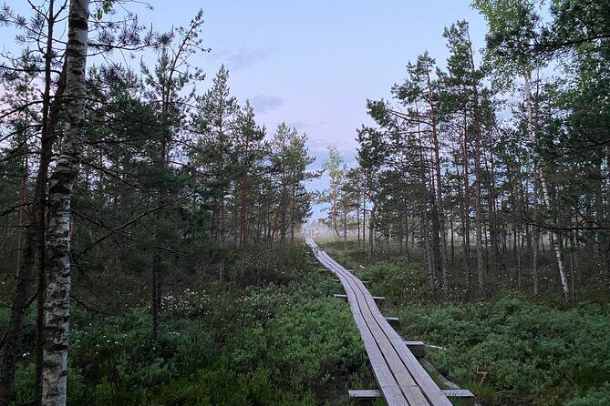 From Riga: Kemeri Bog Boardwalk and Jurmala Seaside - Key Points