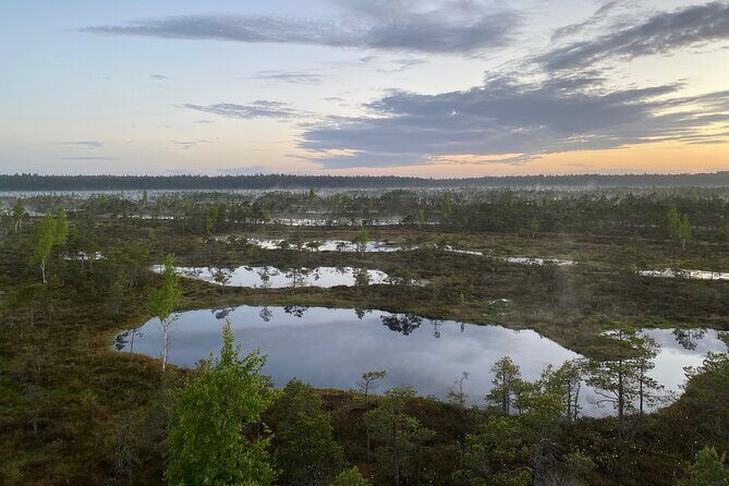 From Riga: Kemeri Bog Boardwalk and Jurmala Seaside - The Value of This Tour