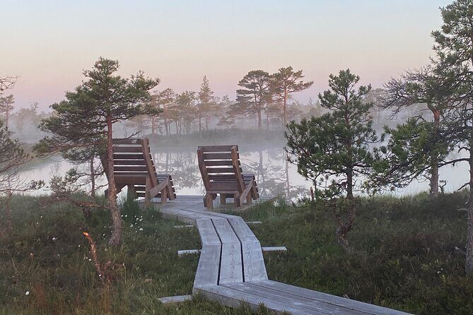 From Riga: Kemeri Bog Boardwalk and Jurmala Seaside - Who Will Love This Tour?