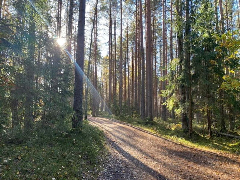 From Riga: Kemeri Bog & Seaside Jurmala - A Deep Dive into the Experience