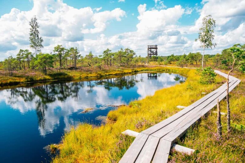 From Riga: Kemeri Bog & Seaside Jurmala - Final Thoughts on Value