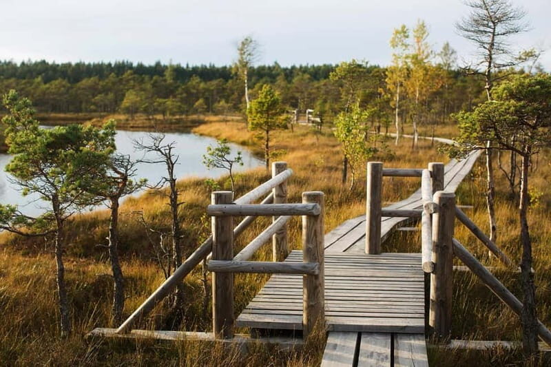 From Riga: Kemeri National Park and Kuldiga Tour - FAQ
