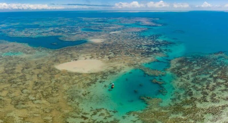 From Rio de Janeiro: 5-Day Bahia and Abrolhos Islands Tour - Final Thoughts