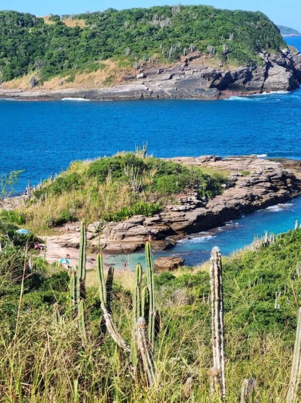 From Rio de Janeiro: Tour discovers Búzios in Buggy - Key Points