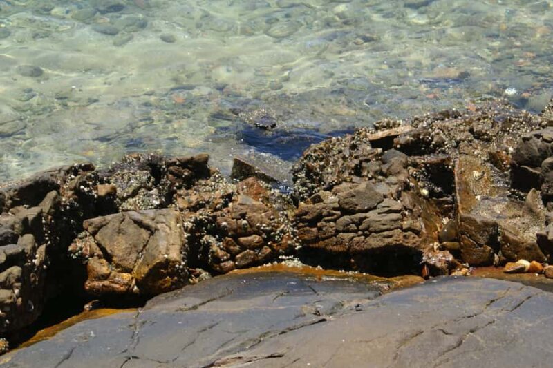 From Rio: Full-Day Angra dos Reis Cruise & Island Tour - FAQs