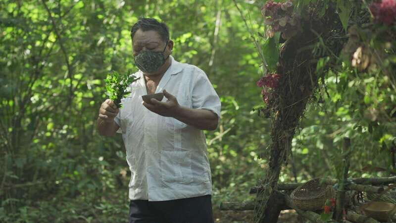 From Riviera Maya: Coba, Punta Laguna & Cenote Guided Trip - Authentic Experiences and Real Guest Feedback