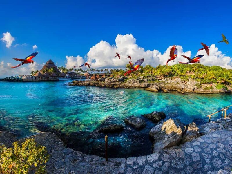 From Riviera Maya: Complete Combo to Xcaret Park! - A Deep Dive into the Experience
