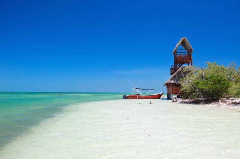 From Riviera Maya: Holbox Full-Day Tour with Lunch - From Riviera Maya: Holbox Full-Day Tour with Lunch — A Detailed Review