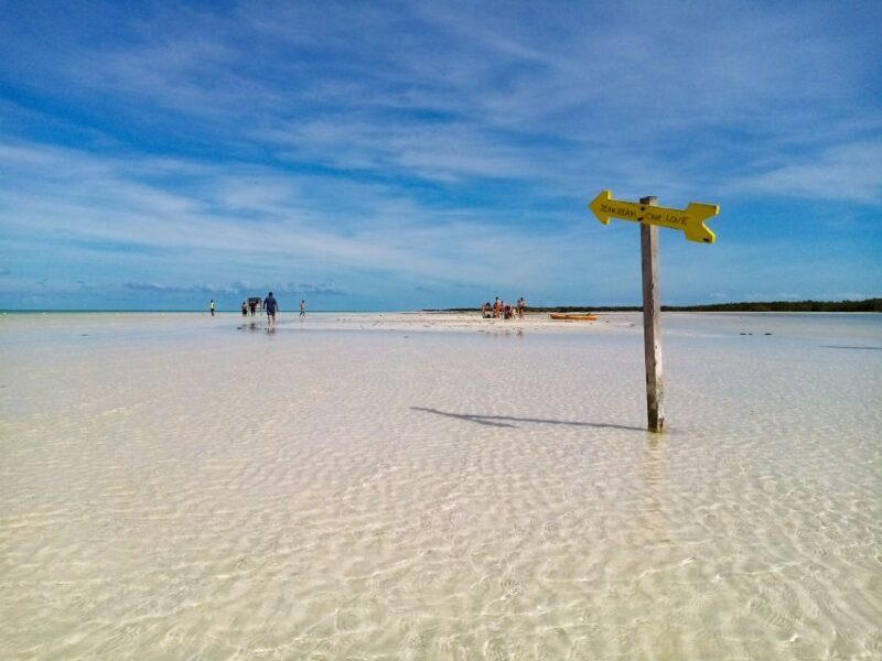 From Riviera Maya: Holbox Full-Day Tour with Lunch - Authentic Experiences and Authenticity