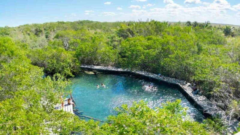 From Riviera Maya: Holbox Full-Day Tour with Lunch - FAQ