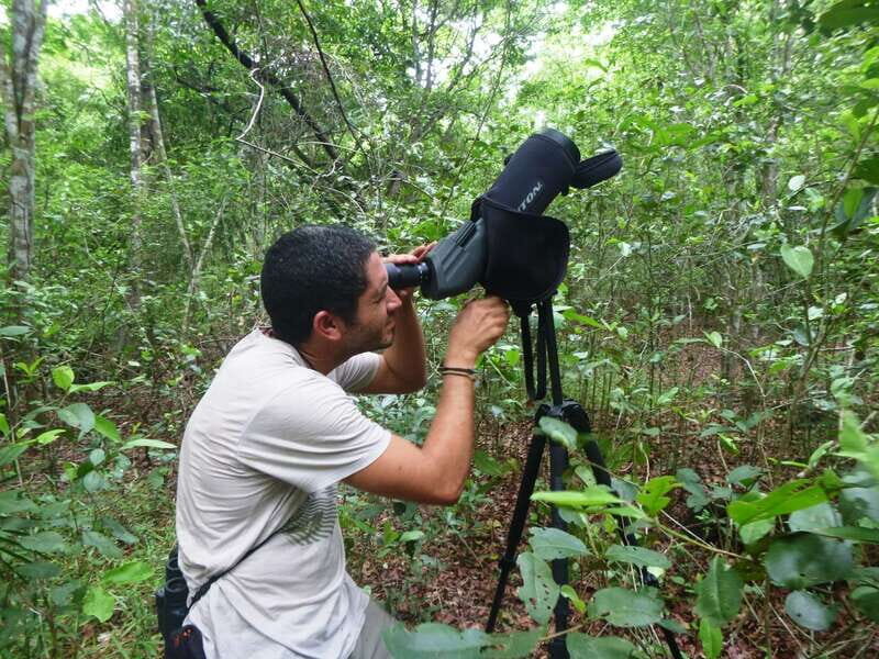 From Riviera Maya : Sian Ka'an Muyil Birdwatching with Guide - Exploring the Riviera Maya: Sian Kaan Muyil Birdwatching with Guide