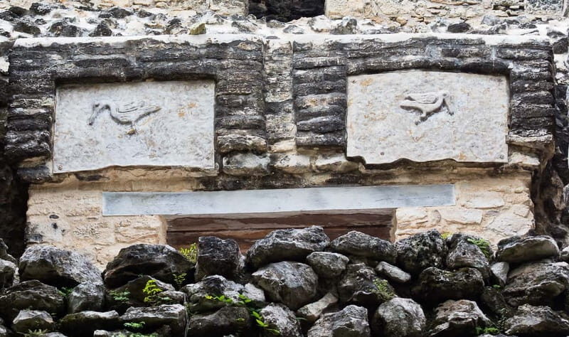 From Riviera Maya : Sian Ka'an Muyil Birdwatching with Guide - The Sum Up: Why Choose This Tour?