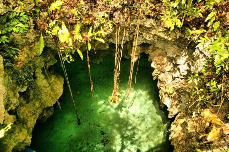 From Riviera Maya: Snorkeling & Private Cenote Half-Day Tour - Who Should Consider This Tour?
