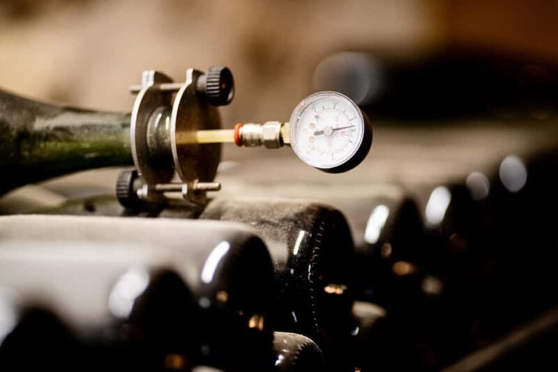 From Rome: Cantina Le Macchie Winery Tour and Tasting - An In-Depth Look at the Experience