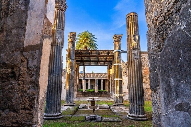 From Rome: Day Trip to Pompeii and Sorrento with lunch - Who Should Consider This Tour?