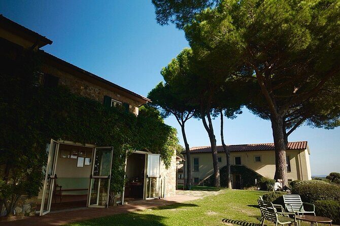 From Rome: Hidden Tuscany Day Trip with Lunch and Wine Tastings - Why This Tour Works