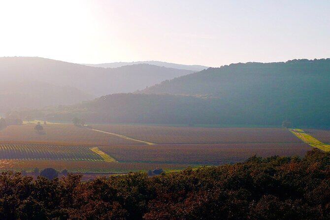 From Rome: Hidden Tuscany Day Trip with Lunch and Wine Tastings - Who Should Consider This Tour?