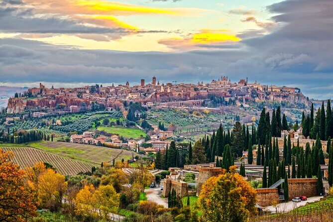 from Rome Montepulciano and Montalcino, the Wine Routes - Who Should Consider This Tour?