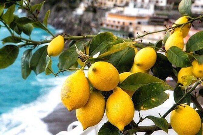 From Rome: Positano and Amalfi Coast Private Tour with Driver - FAQ