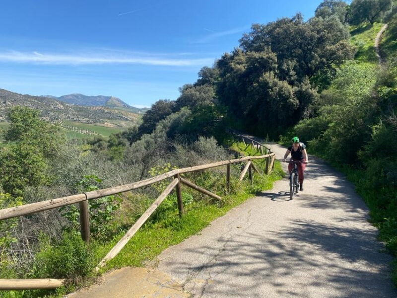 From Ronda: Via Verde de la Sierra Easy Cycling Tour - The Sum Up