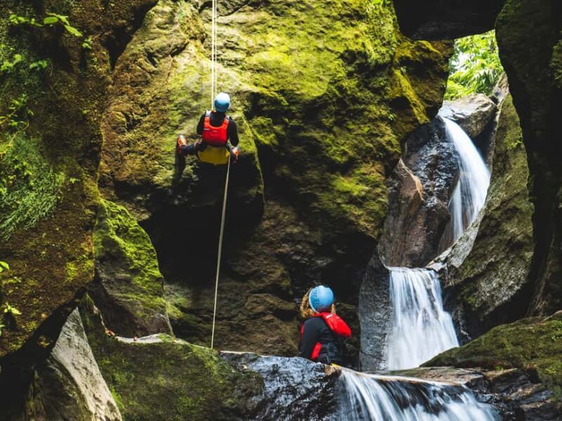 From Roseau: Canyon Experience - From Roseau: Canyon Experience – A Thrilling Half-Day Adventure in Dominica