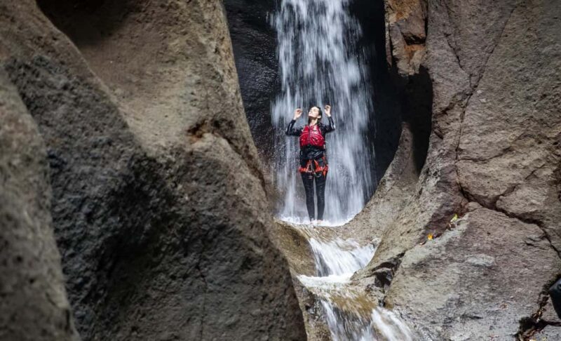 From Roseau: Canyon Experience - Why Travelers Rave About This Tour