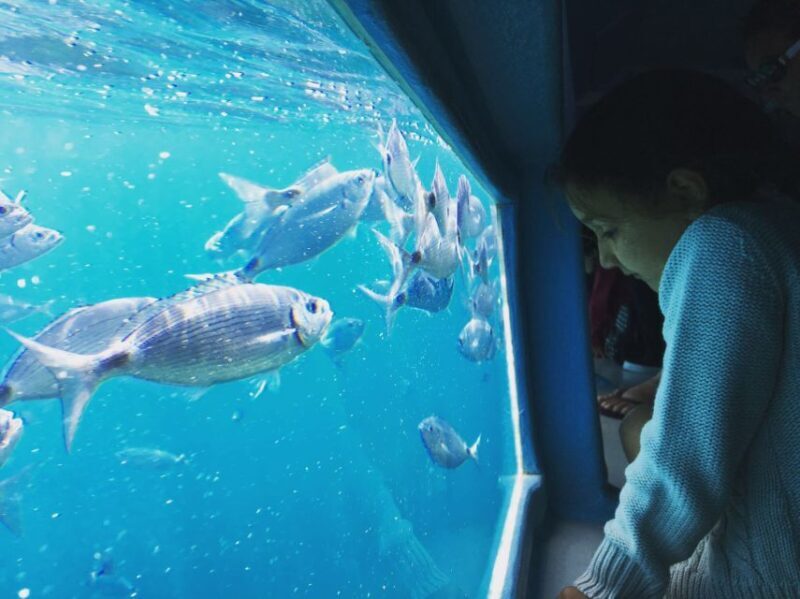 From Roses: Cap Norfeu Boat Cruise & Swimming - Final Thoughts: Is This Tour Worth It?
