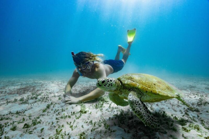 From Rosslyn: Great Keppel Island Adventure Tour with Lunch - In-Depth Review of the Great Keppel Island Adventure Tour