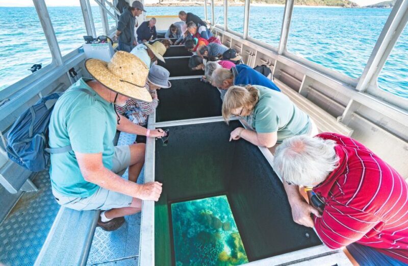 From Rosslyn: Great Keppel Island Adventure Tour with Lunch - FAQ
