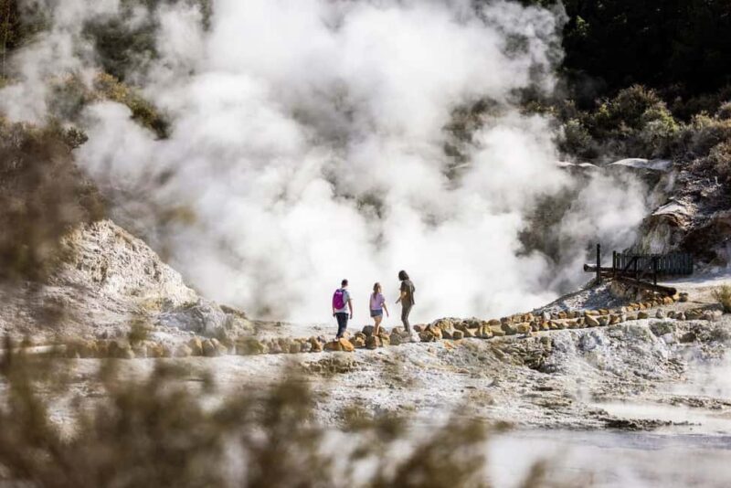From Rotorua: HELL's GATE Geothermal MUD BATH Half Day Tour - A Practical Overview of the Tour