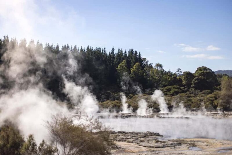 From Rotorua: HELL's GATE Geothermal MUD BATH Half Day Tour - Authentic Experiences and Traveler Insights