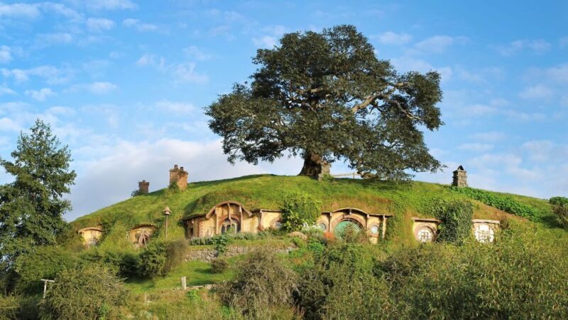 From Rotorua: Hobbiton Movie Set Tour with Festive Lunch - Who Will Love This Tour?