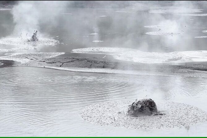 From Rotorua WAI-O-TAPU Geothermal Wonderland Half Day Tour - Authentic Experiences and Guide Highlights