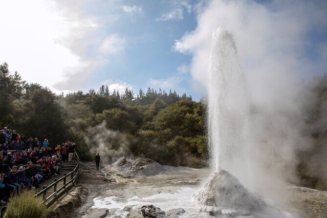 From Rotorua WAI-O-TAPU Geothermal Wonderland Half Day Tour - The Sum Up