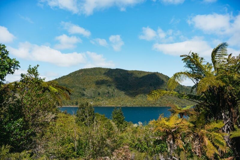 From Rotorua - WAI-O-TAPU - WAIKITE Pool & HUKA FALLS Cruise - Overall Value and Experience