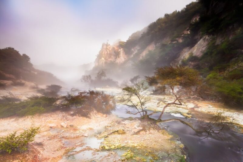 From Rotorua: Wai O Tapu & Waimangu Eco Thermal Morning Tour - Who Is This Tour Best For?