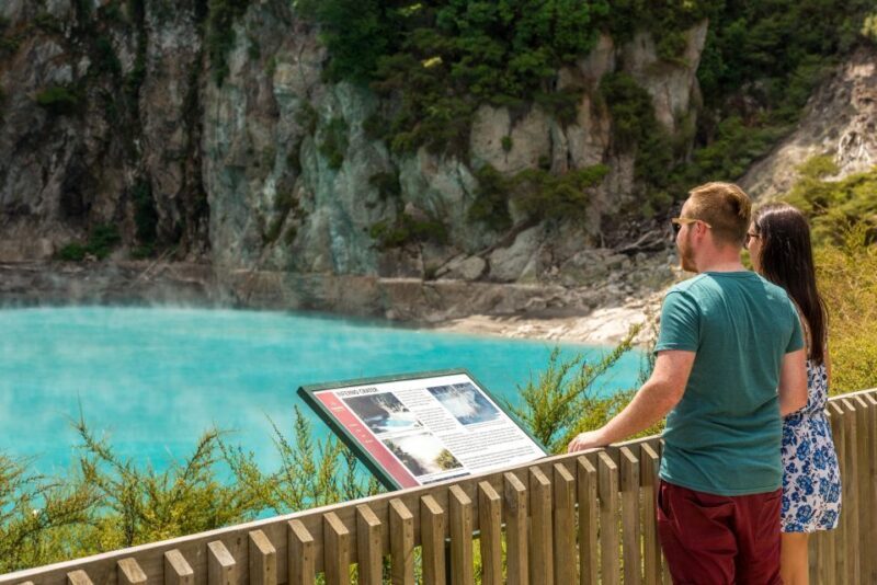 From Rotorua: Wai O Tapu & Waimangu Eco Thermal Morning Tour - A Deep Dive into the Experience