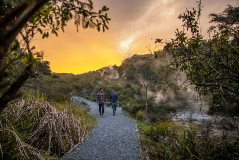 From Rotorua: WAIMANGU VOLCANIC VALLEY Half-Day Tour - Key Points