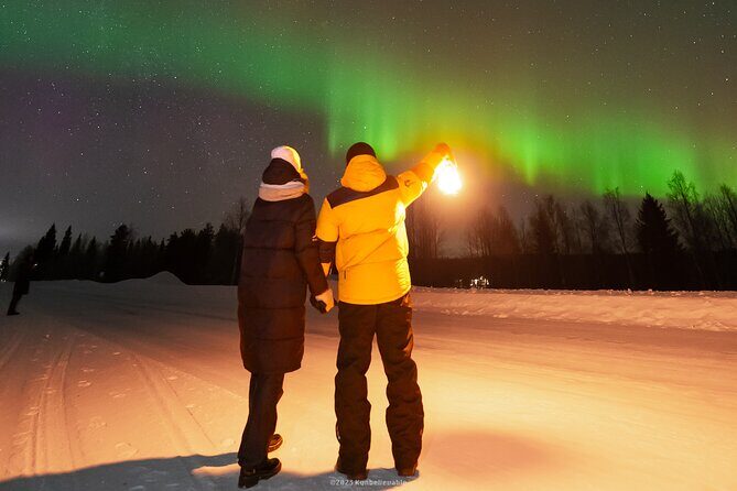 From Rovaniemi: Aurora Borealis Hunting with Photos & Videos - Rovaniemi Aurora Borealis Hunting with Photos & Videos: A Deep Dive