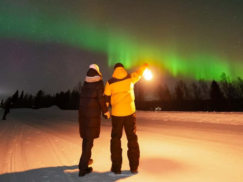 From Rovaniemi: Aurora Borealis Hunting with Photos & Videos - Key Points