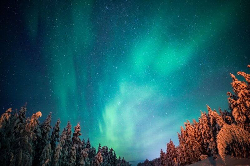 From Rovaniemi: Family-Friendly Northern Lights Tour - Exploring the Rovaniemi Northern Lights Tour in Detail