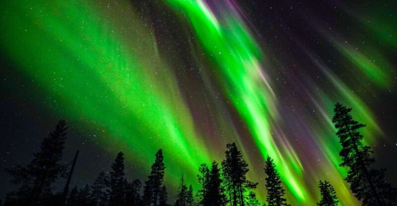 From Rovaniemi: Family-Friendly Northern Lights Tour - Why the Small Group Matters