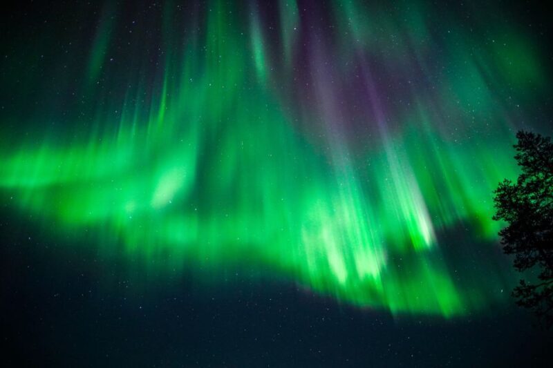 From Rovaniemi: Family-Friendly Northern Lights Tour - Comfort and Practicality
